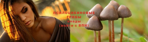 героин Липки