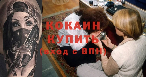 apvp Лиски