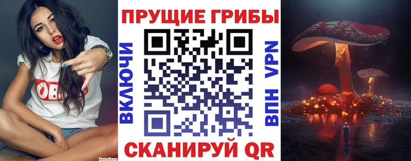 Галлюциногенные грибы мухоморы  купить наркоту  Мураши 